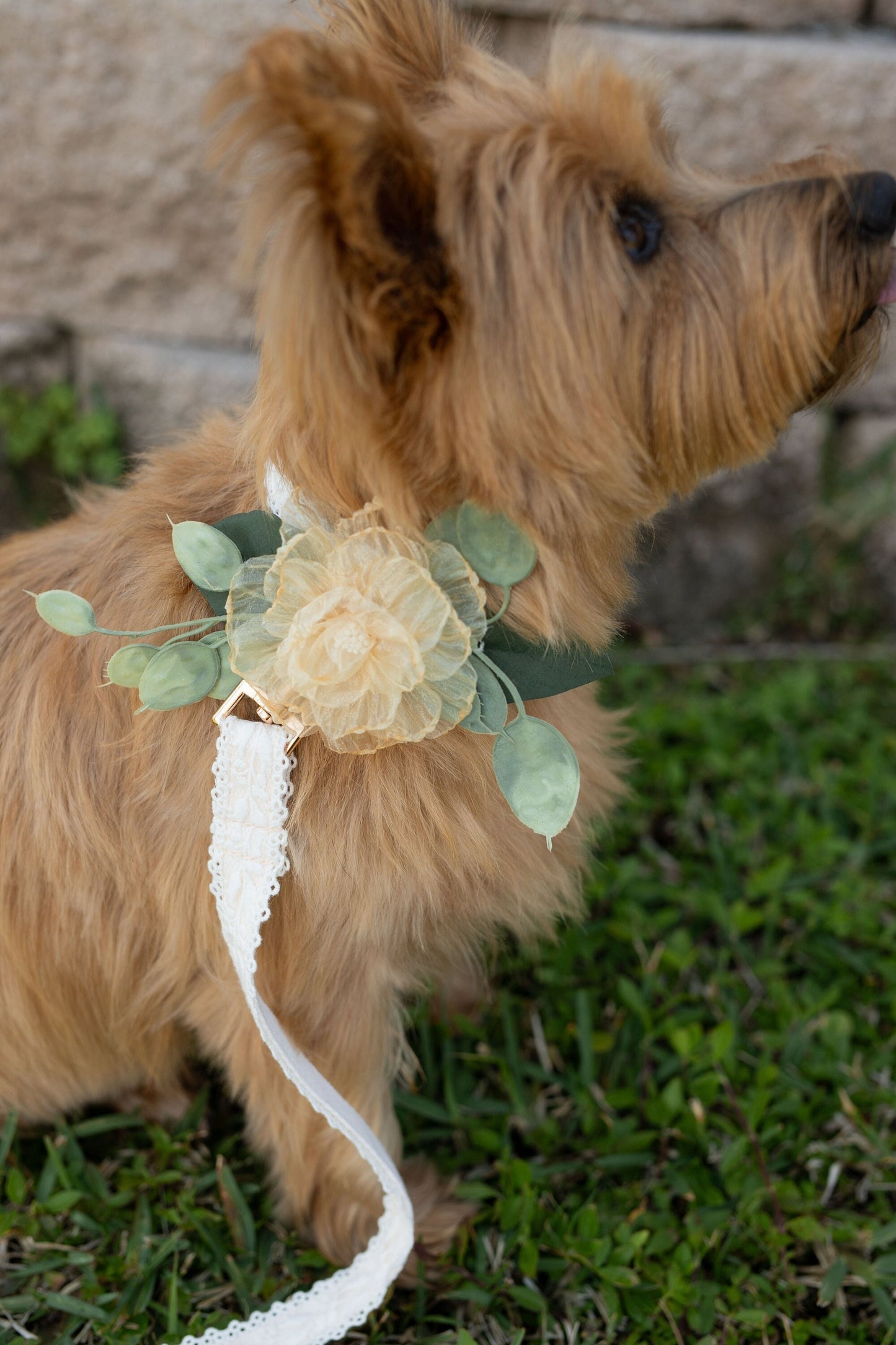 Wedding Dog Collar Corsage: Amber Floral Pet Collar Attachment