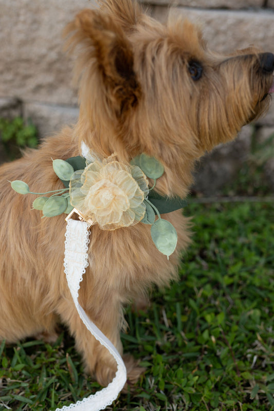 Wedding Dog Collar Corsage: Amber Floral Pet Collar Attachment
