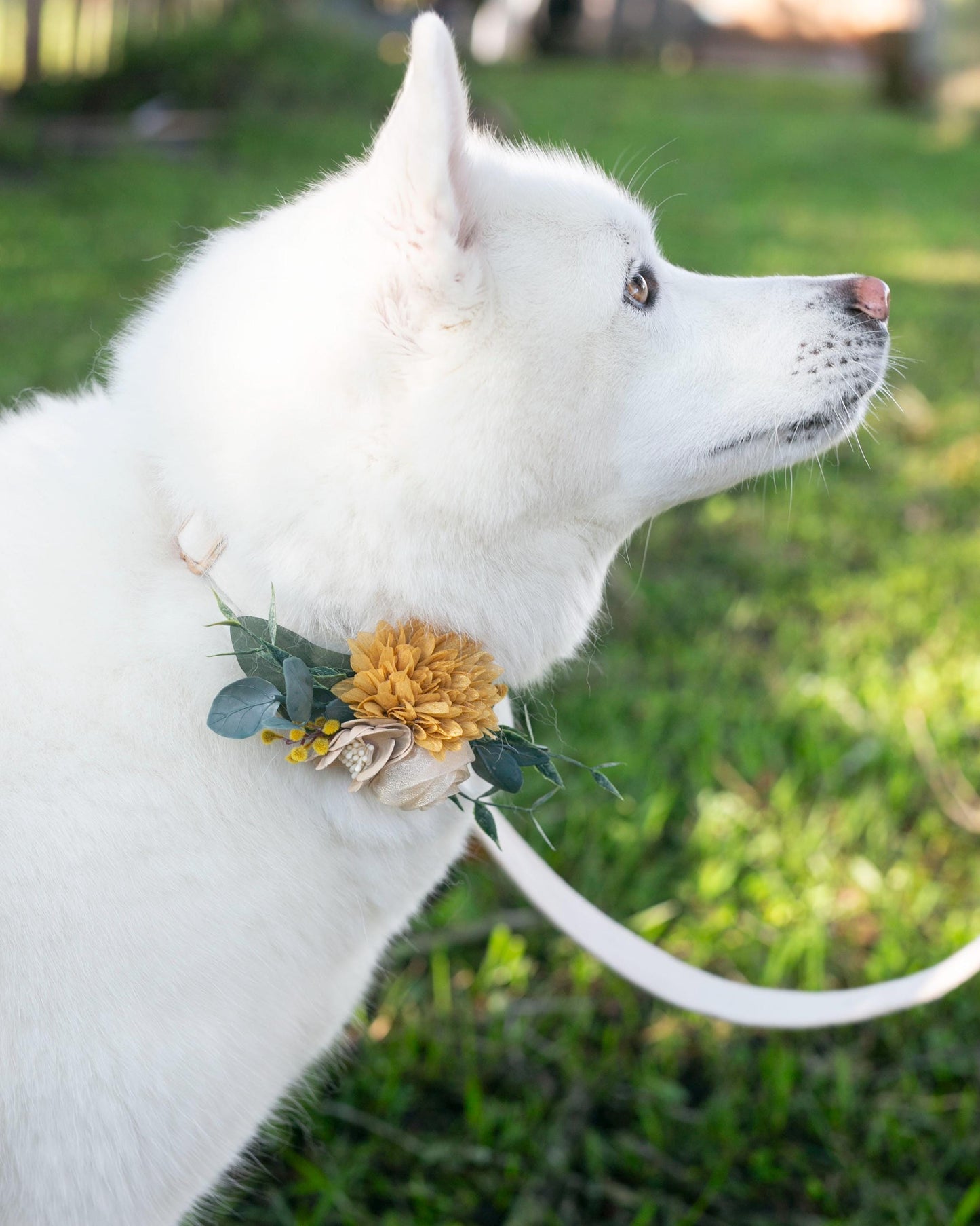 Yellow Gold Floral Dog Collar Corsage: Removable Wedding Accessory