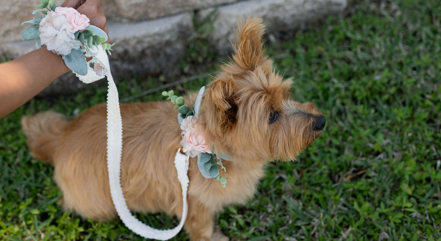 Blush Floral Dog Collar Corsage: Wedding Leash Accent