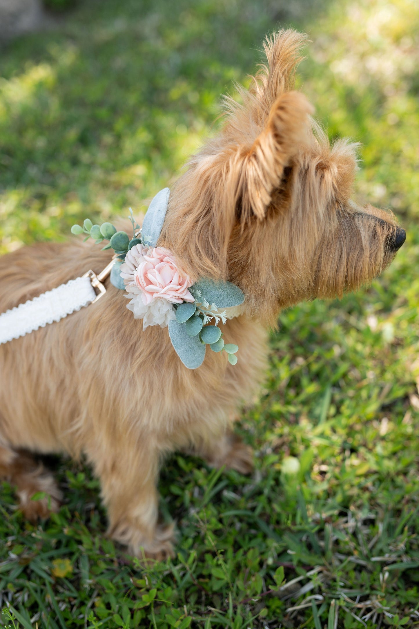 Blush Floral Dog Collar Corsage: Wedding Leash Accent