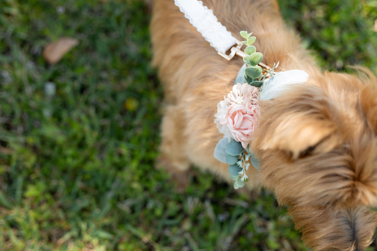 Blush Floral Dog Collar Corsage: Wedding Leash Accent