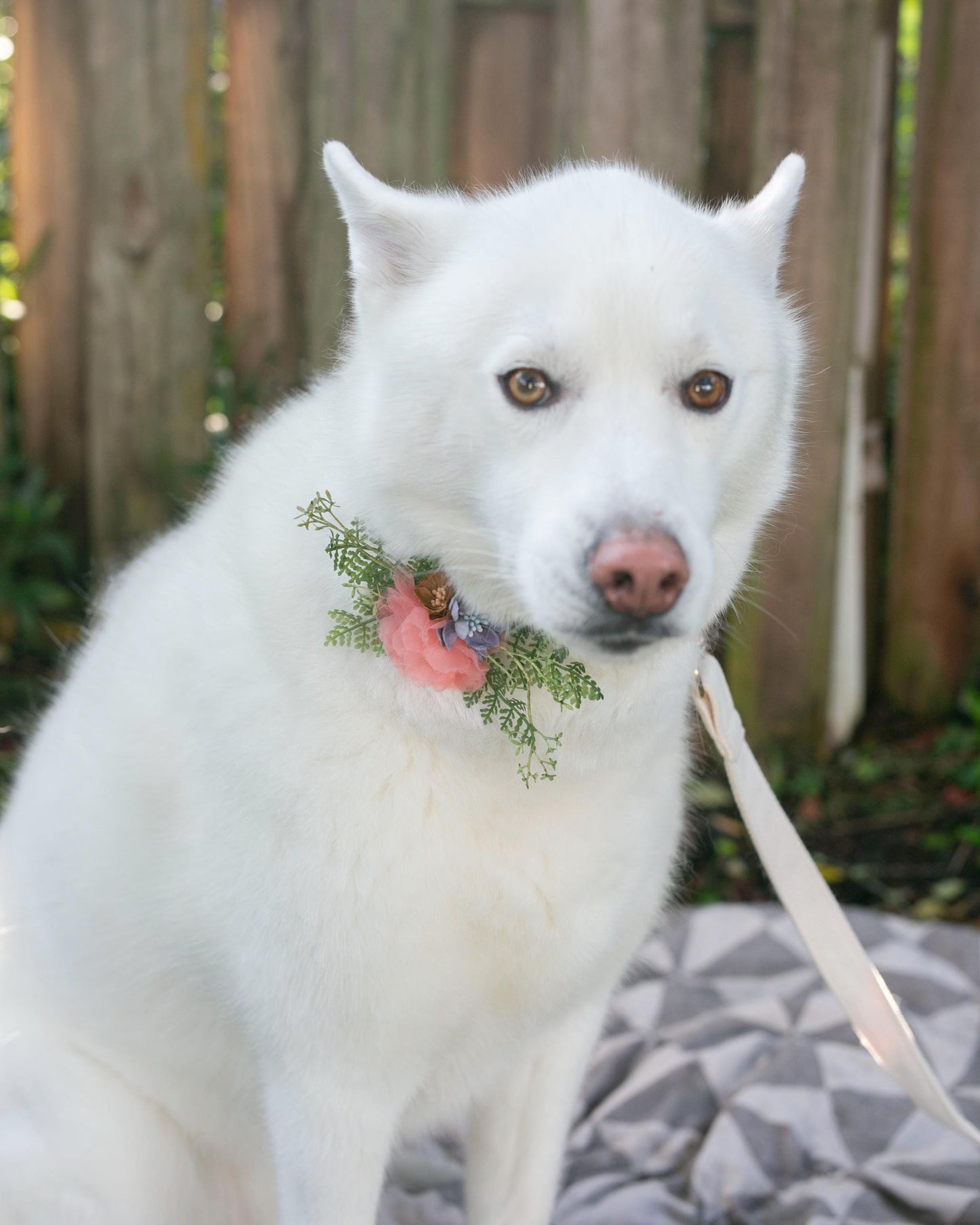 Wedding Dog Corsage, Floral Pet Collar Accessory for Dog Wedding Leash Decor, Attachable & Removable Collar Flower, Pet Bridal Floral Collar
