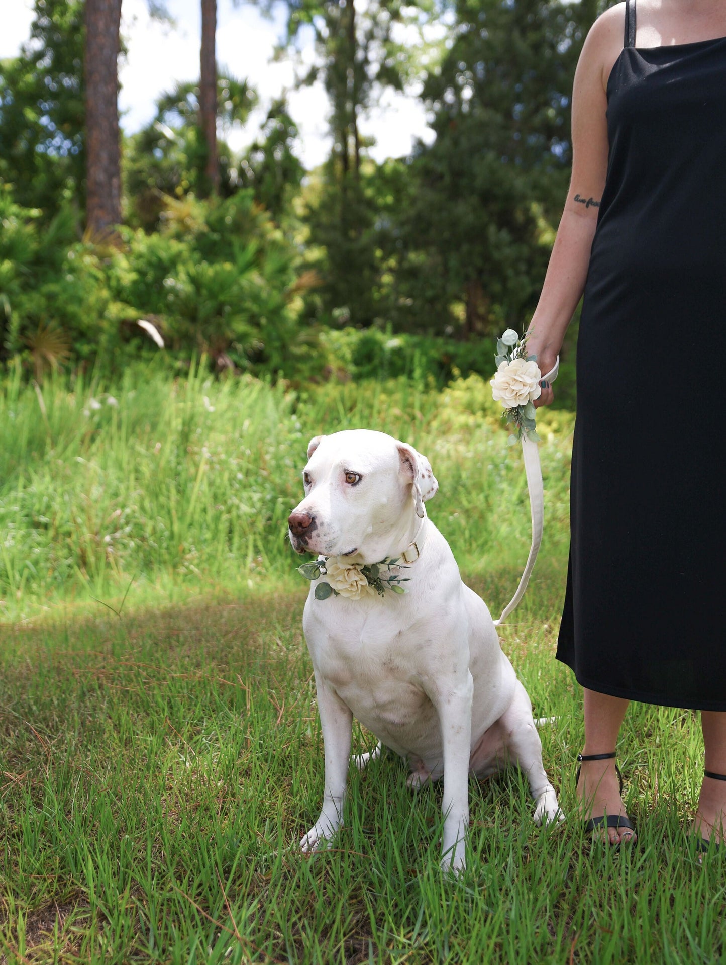 Wedding Dog Collar Floral Patch: Ivory Flower & Eucalyptus Accessory