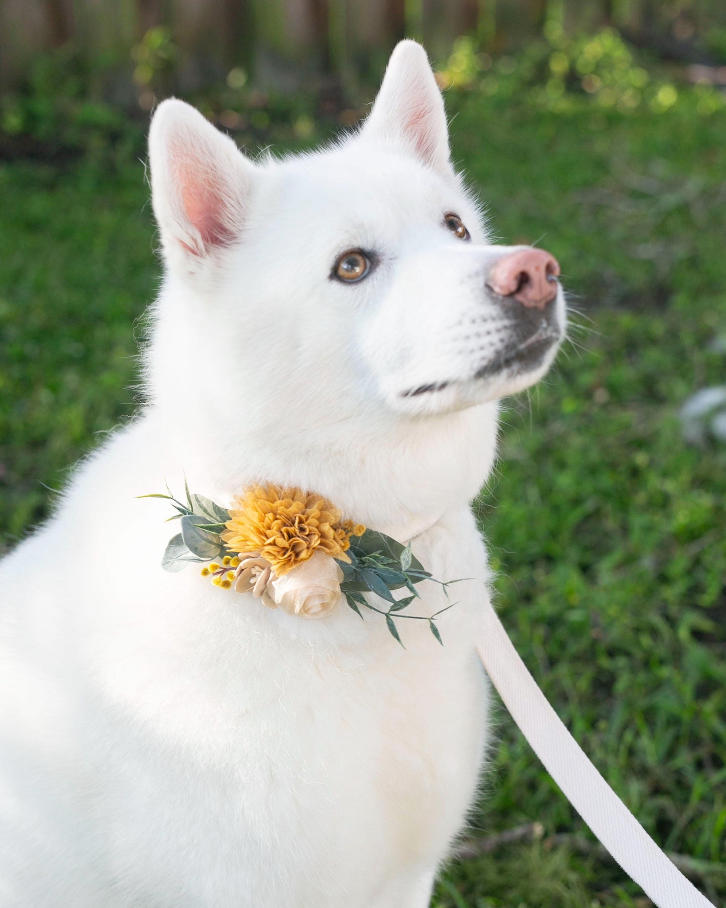 Yellow Gold Floral Dog Collar Corsage: Removable Wedding Accessory