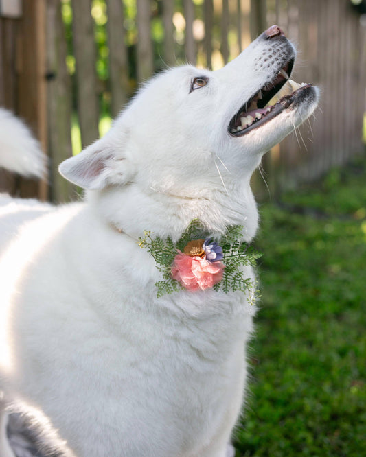 Wedding Dog Corsage, Floral Pet Collar Accessory for Dog Wedding Leash Decor, Attachable & Removable Collar Flower, Pet Bridal Floral Collar